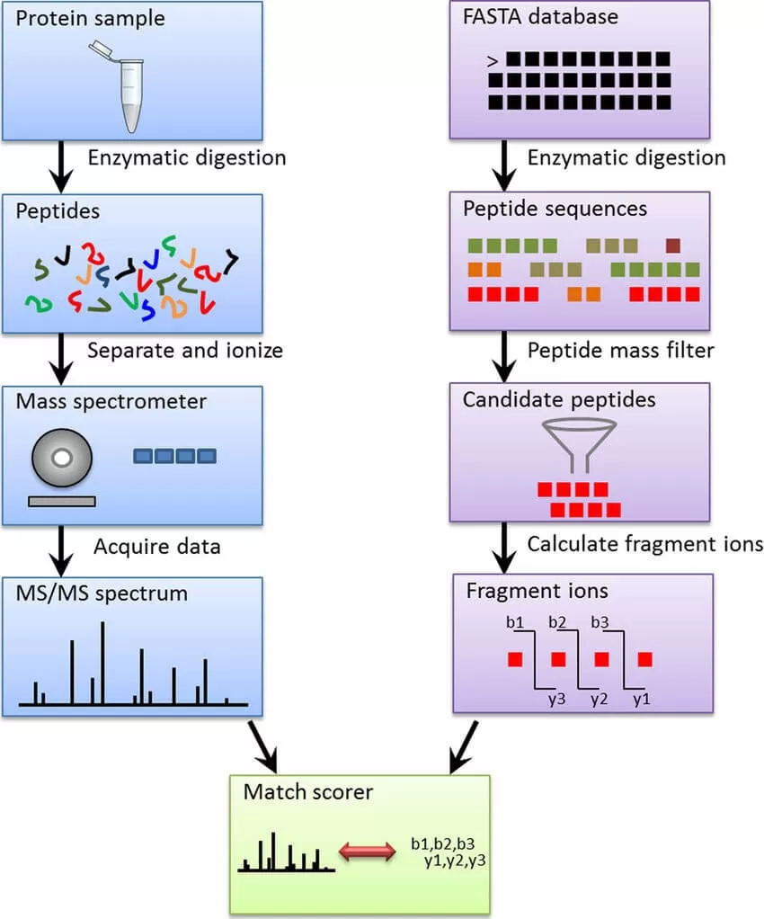 Fig.1 Data acquisition and database search.